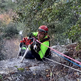 Olivetta San Michele: salvataggio di un cane scivolato da ieri, difficile intervento dei Vigili del Fuoco (Foto)