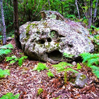 Apricale (Pian dei Re): scoperto un banco di roccia che la memoria contadina ricorda come 'U Bausu du Diavu' (La roccia del Diavolo)