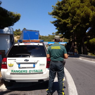 Mobilitazione dei Rangers D'Italia per contrasto all'abbandono degli animali sull'A10