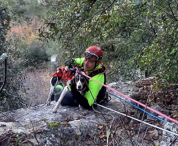 Olivetta San Michele: salvataggio di un cane scivolato da ieri, difficile intervento dei Vigili del Fuoco (Foto)