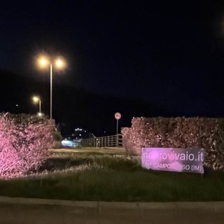 Camporosso, lotta al tumore al seno: la rotonda del ponte dell’Amicizia si illumina di rosa (Foto)