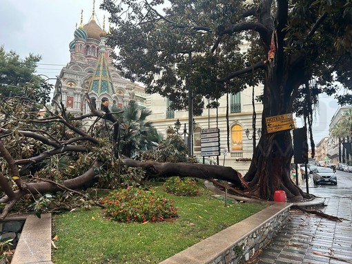 Maltempo sulla nostra provincia: è stato l'effetto 'Downburst', tanti danni e nuove piogge in arrivo (Foto)