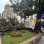 Maltempo sulla nostra provincia: è stato l'effetto 'Downburst', tanti danni e nuove piogge in arrivo (Foto)