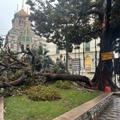 Maltempo sulla nostra provincia: è stato l'effetto 'Downburst', tanti danni e nuove piogge in arrivo (Foto)