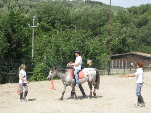 Imperia: domani con l'ISAH una giornata dedicata all'ippoterapia al ranch di Montegrazie