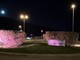 Camporosso, lotta al tumore al seno: la rotonda del ponte dell’Amicizia si illumina di rosa (Foto)