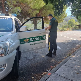 Abbandoni in autostrada: pattuglie dei Rangers D’Italia anche della nostra provincia sulla A10 (Foto)