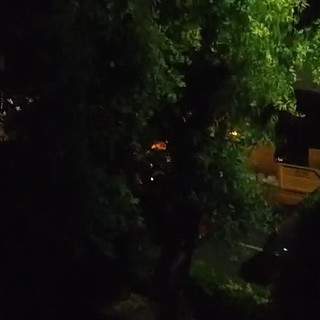 Imperia senza padroni: lamentele dei cittadini sulla rumorosità della raccolta del vetro in orario notturno (Video)