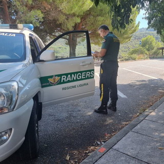 Controlli dei Rangers d'Italia sull'Autostrada A10 Genova-Ventimiglia contro l'abbandono degli animali