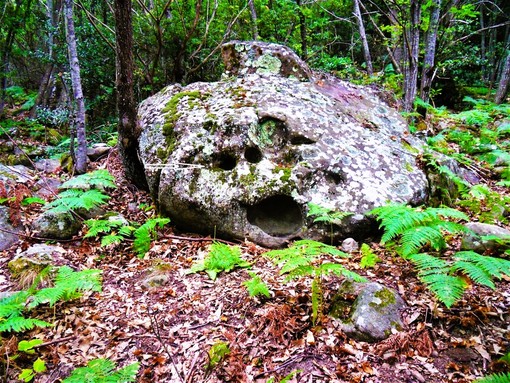 Apricale (Pian dei Re): scoperto un banco di roccia che la memoria contadina ricorda come 'U Bausu du Diavu' (La roccia del Diavolo)