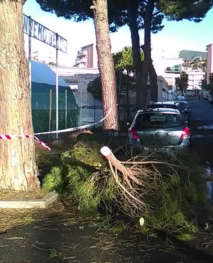 Le immagini da via Barabino