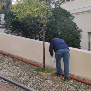 Bordighera: nuove scritte 'no vax' sul Comune, è la terza volta e gli autori rimangono ancora impuniti