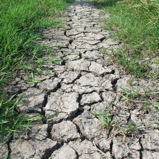 Siccità, la Regione scrive ai comuni: necessarie misure di limitazione dell'uso dell'acqua per evitare razionamenti in futuro