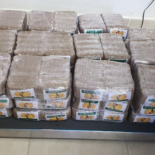 Ventimiglia: 400 kg di marijuana in arrivo dalla Spagna, doppia operazione della Guardia di Finanza