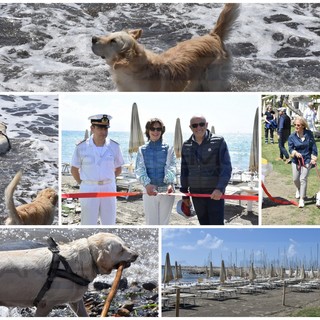 Santo Stefano al Mare: inaugurata questa mattina la spiaggia per cani a Marina degli Aregai (Foto e Video)