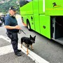 Ventimiglia: romeno arrestato su un pullman dalla Guardia di Finanza con la 'droga del combattente' (Foto e Video)