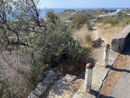 Una gita nell’anello Arma di Taggia - Bussana vecchia e nuova proposta dal CAI Sanremp