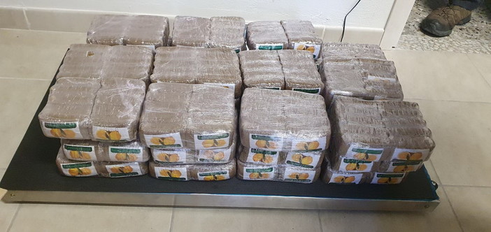 Ventimiglia: 400 kg di marijuana in arrivo dalla Spagna, doppia operazione della Guardia di Finanza