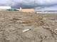 Imperia: siringhe in spiaggia alla Succursale della Marina di Porto Maurizio durante la Pasquetta (Foto)