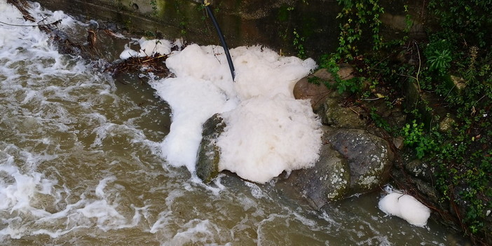 Sanremo: dopo le piogge di ieri sul torrente San Romolo appare una strana schiuma (Foto e Video)