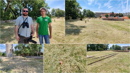 Oasi del Nervia, sfalcio nell'area Campasso. Natura Intemelia Aps: &quot;Grave danno ambientale&quot; (Foto e video)