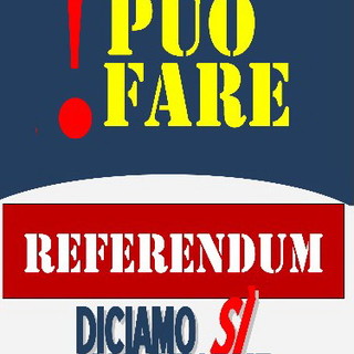 Nasce il comitato 'Si può fare Imperia': è promotore del 'Si' al prossimo referendum costituzionale