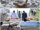 Santo Stefano al Mare: inaugurata questa mattina la spiaggia per cani a Marina degli Aregai (Foto e Video)