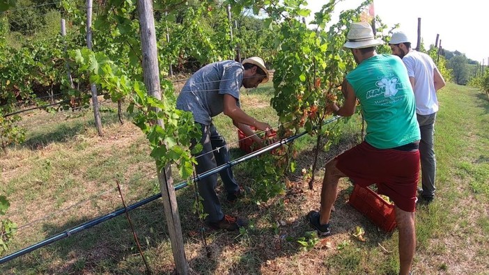 Coldiretti: accolta la proroga triennale del bonus verde per 100mila occupati nel settore florovivaistico