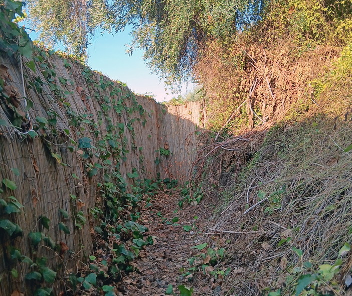 Ventimiglia: chiuso il 'Sentiero del Bricco', escursionisti locali e turisti ne chiedono la riapertura (Foto)