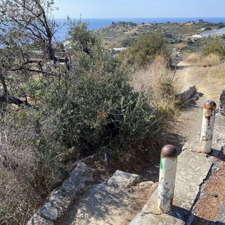 Una gita nell’anello Arma di Taggia - Bussana vecchia e nuova proposta dal CAI Sanremp