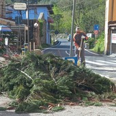 Ad Olivetta San Michele il Sindaco Biancheri mette la tuta da operaio e fa il 'boccia' (Foto)