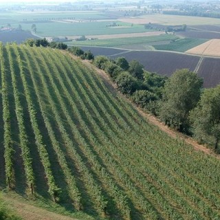 L'inflazione cresce dettata dalla speculazione: problemi nel settore agricolo, in provincia 2.600 imprese