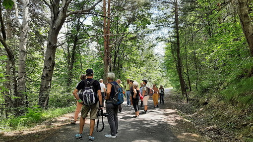 Sciacarée a Rocchetta Nervina: canyoning e passeggiate 'Torrentismo' al Rio Barbaira, divertimento e avventura