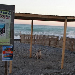Vallecrosia: nuova zona ombreggiante alla 'spiaggia per cani' al confine con Camporosso
