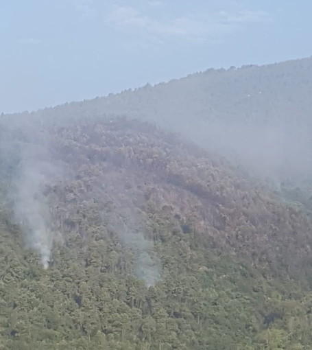 Sanremo: spento l'incendio di ieri a Gozo, in corso la bonifica e le indagini. Quasi certa la matrice dolosa (Foto e Video)