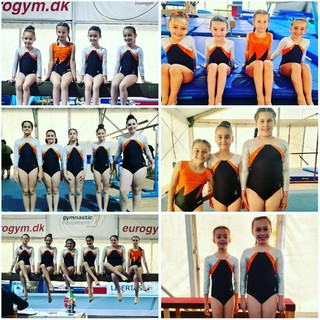 Ginnastica artistica: a Cesenatico ottimi risultati per l'Asd Sunny Gym di Vallecrosia (Foto)