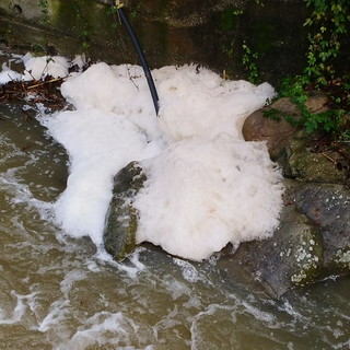 Sanremo: dopo le piogge di ieri sul torrente San Romolo appare una strana schiuma (Foto e Video)