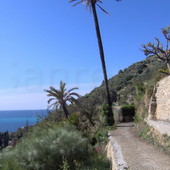 Bordighera, nel Beodo passeggiata all’insegna del benessere e della salute (Foto)