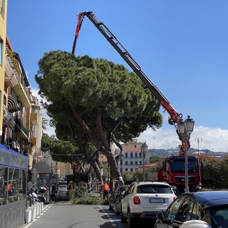 I lavori in via Nino Bixio