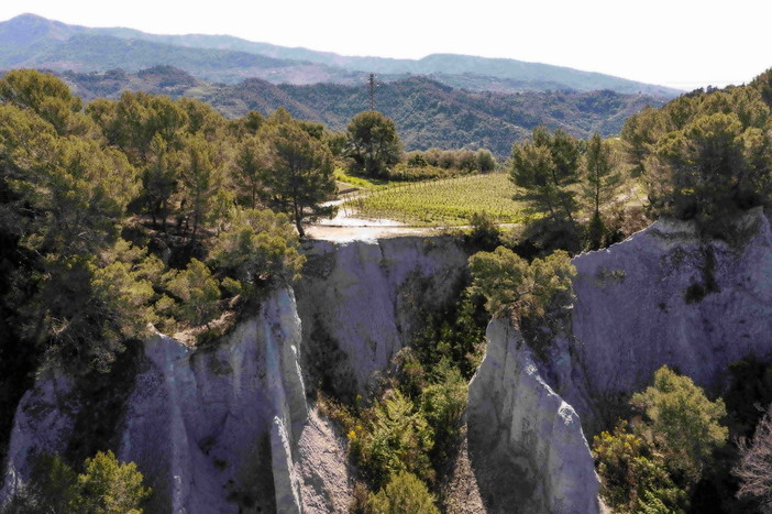 Camporosso, Dolceacqua, San Biagio della Cima, Soldano e Perinaldo: in 5 danno vita al primo brand territoriale della Liguria ‘Terre del Rossese’