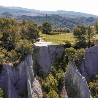 Camporosso, Dolceacqua, San Biagio della Cima, Soldano e Perinaldo: in 5 danno vita al primo brand territoriale della Liguria ‘Terre del Rossese’