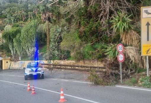 Bordighera: crolla un traliccio sull'Aurelia di fronte ai Giardini Pallanca, intervento dei VVF