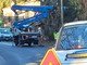 Sanremo: albero a rischio crollo tagliato nella zona del 'Prato' di San Romolo (Foto)