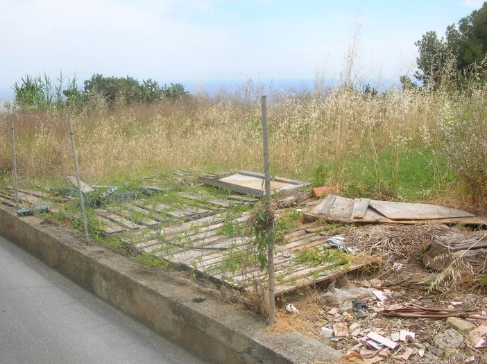 Bordighera: interpellanza di Ramoino per un terreno a Montenero in totale abbandono (Foto)