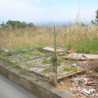 Bordighera: interpellanza di Ramoino per un terreno a Montenero in totale abbandono (Foto)