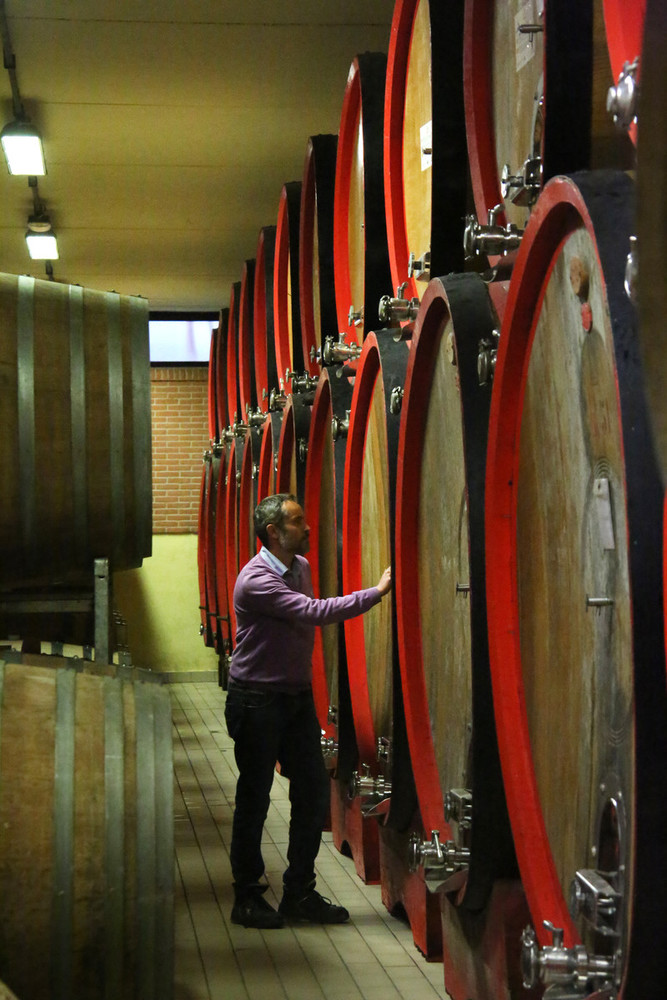 Cantina Terre del Barolo: in enoteca per fare esperienza del territorio