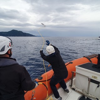 Grandi cetacei nel Santuario Pelagos: formazione sulle modalità di intervento in caso di impigliamento (foto e video)