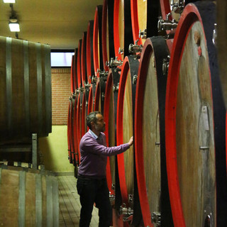 Cantina Terre del Barolo: in enoteca per fare esperienza del territorio