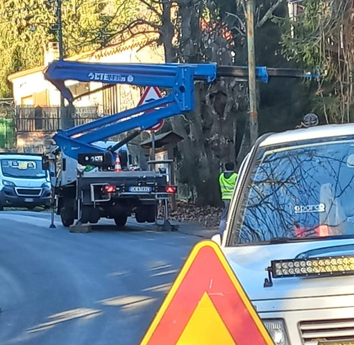 Sanremo: albero a rischio crollo tagliato nella zona del 'Prato' di San Romolo (Foto)