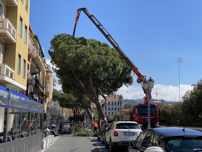 I lavori in via Nino Bixio